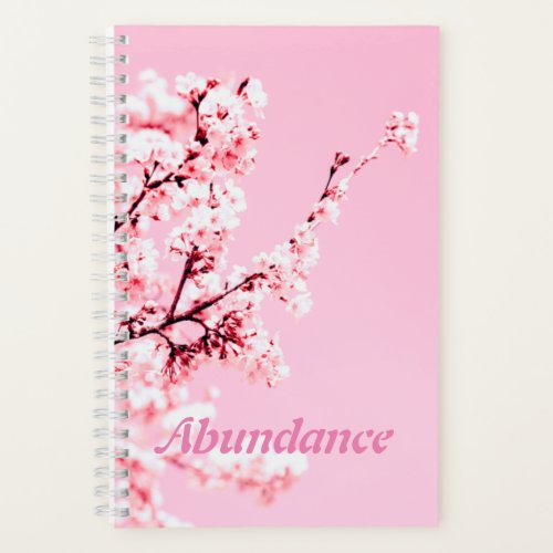 Abundance Notebook