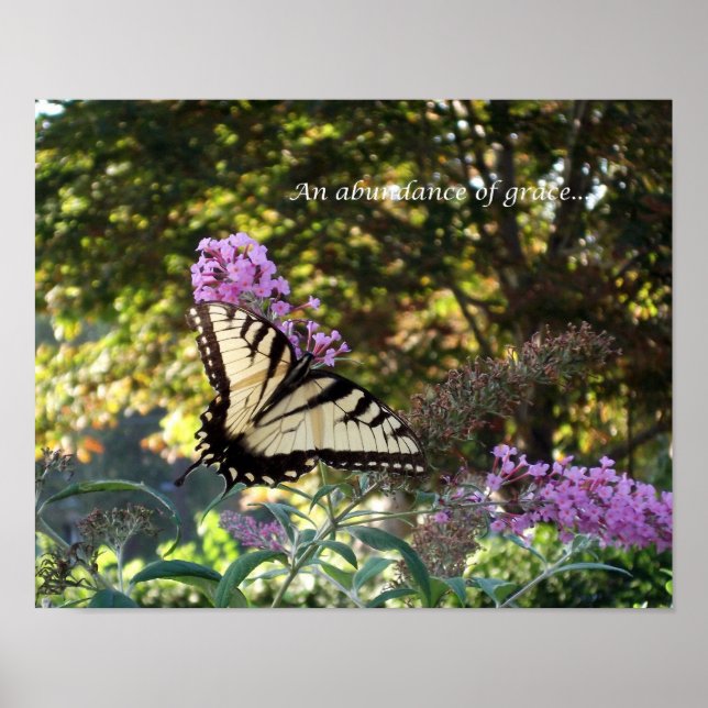 Abundance of grace poster (Front)