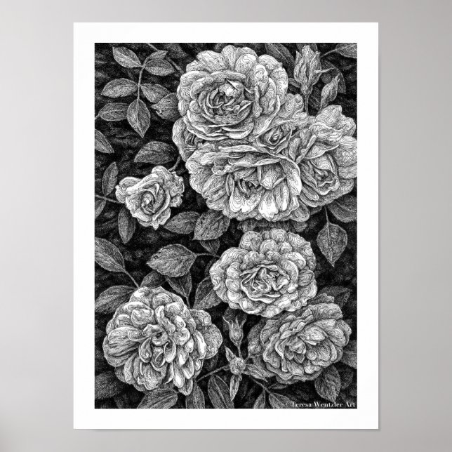 Abundance Pen Drawing Poster (Front)