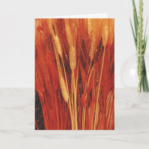 Abundant Blessings Holiday Card