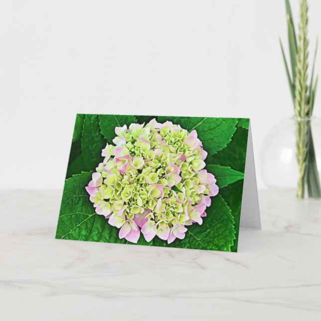 Abundant Hydrangea Scripture Card 1 Timothy 1:14 (Front)
