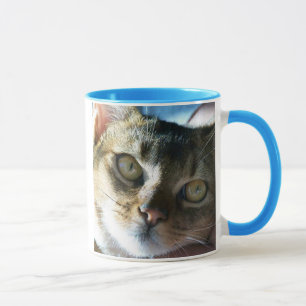 Abyssinian Blue Male Cat Mug