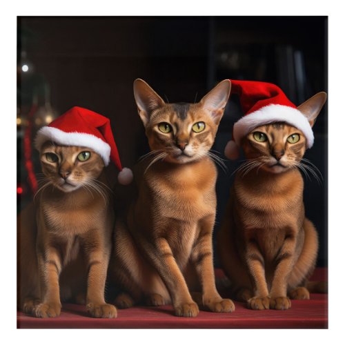Abyssinian by the Fireplace Christmas Acrylic Print