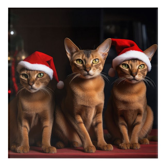 Abyssinian by the Fireplace Christmas Acrylic Print (Front)