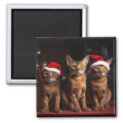 Abyssinian by the Fireplace Christmas Magnet