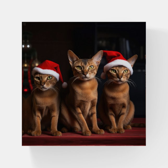 Abyssinian by the Fireplace Christmas Paperweight (Front)