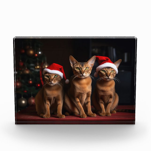 Abyssinian by the Fireplace Christmas Photo Block (Front)