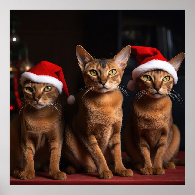 Abyssinian by the Fireplace Christmas Poster (Front)