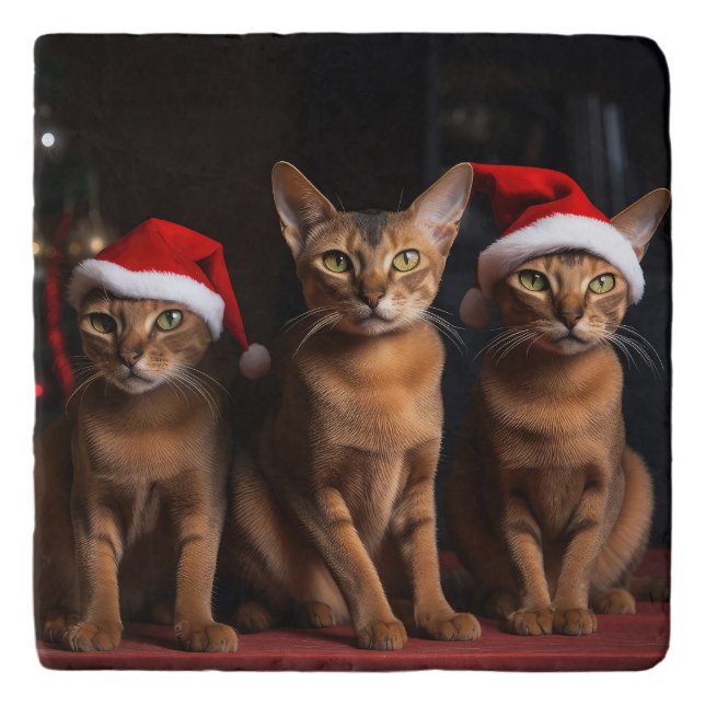Abyssinian by the Fireplace Christmas Trivet (Front)