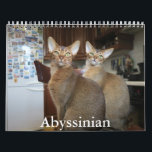 Abyssinian Calendar<br><div class="desc">A Calendar with 12 different pictures of Abyssinian Cats</div>
