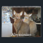 Abyssinian Calendar<br><div class="desc">A Calendar with 12 different pictures of Abyssinian Cats</div>