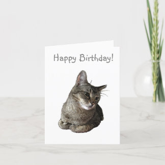 Abyssinian Cat Birthday Card