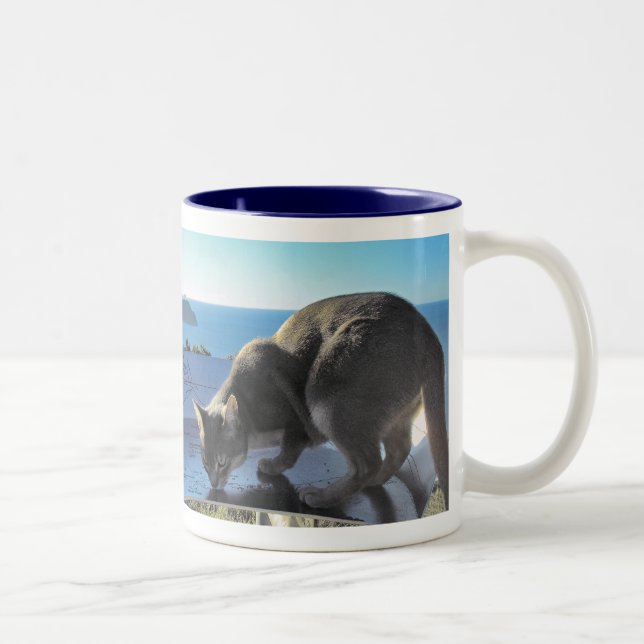 Abyssinian Cat by the Sea Two-Tone Coffee Mug (Right)