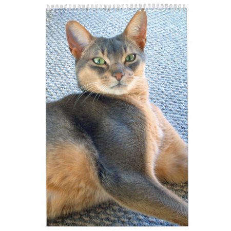 Abyssinian Cat Calendar (customize Any Year)