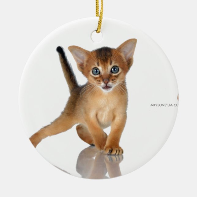 Abyssinian cat ceramic ornament (Front)