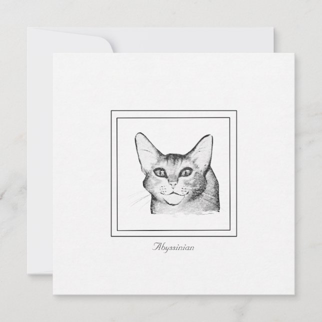 Abyssinian Cat Drawing Flat Note Card (Front)