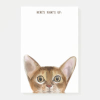Abyssinian Cat | Editable Text | Here's What's Up