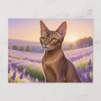 Abyssinian Cat in Lavender Field