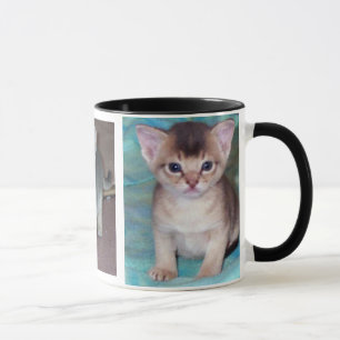 Abyssinian Cat Kittens Mug