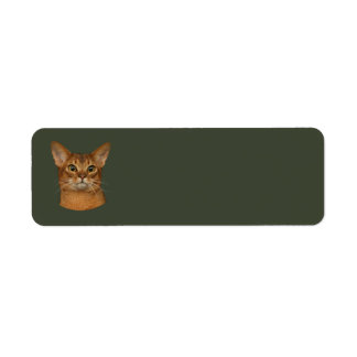 abyssinian cat label
