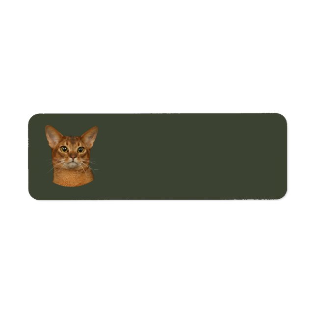 abyssinian cat label (Front)