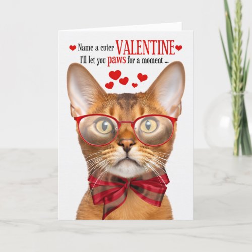 Abyssinian Cat Lover Feline Humor Valentines Day Holiday Card