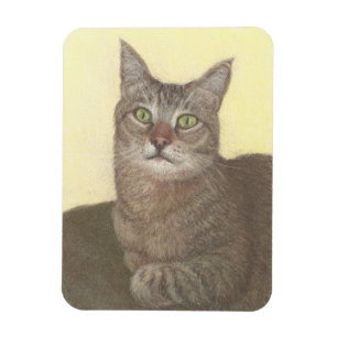 Abyssinian Cat Magnet