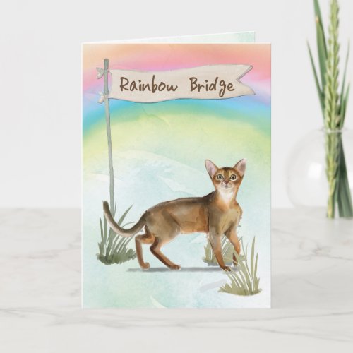 Abyssinian Cat Pet Sympathy Over Rainbow Bridge Card