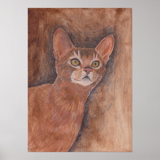 Abyssinian Cat Poster (Front)