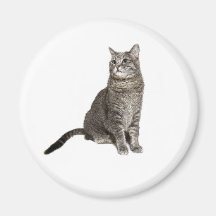 Abyssinian Cat Round Magnet
