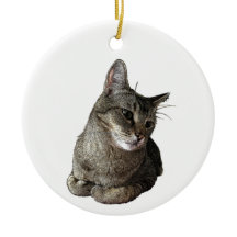 Abyssinian Cat Round Ornament