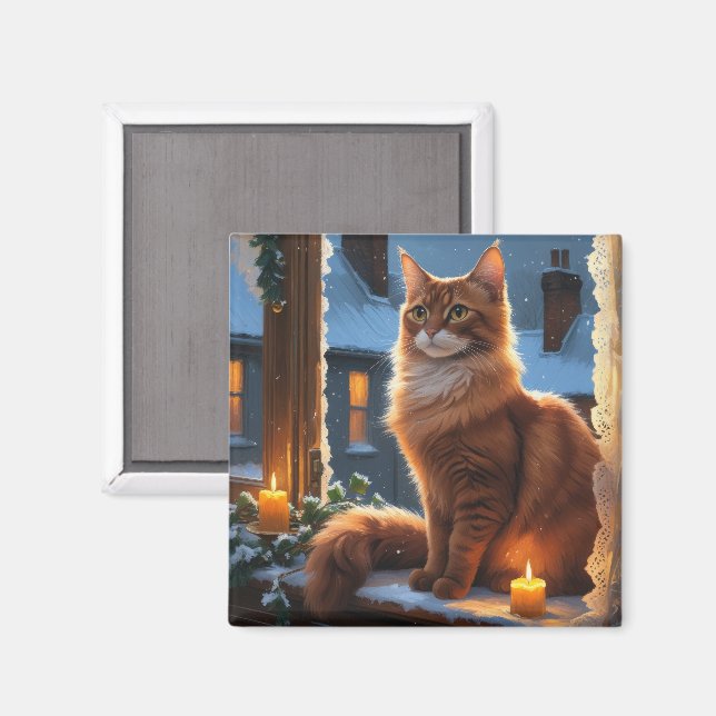 Abyssinian Cat With Christmas Lights Holiday Magnet (Front/Back)