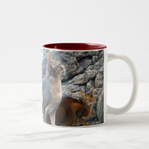 Abyssinian Cats Brother and Sister Two-Tone Coffee Mug