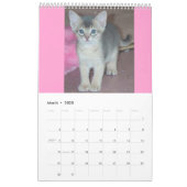 Abyssinian Cats Calendar | Zazzle