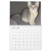 Abyssinian Cats Calendar | Zazzle