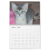 Abyssinian Cats Calendar | Zazzle