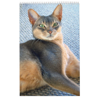Abyssinian Cats & Kitten Calendar