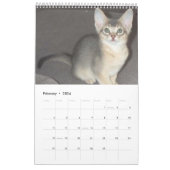 Abyssinian Cats & Kitten Calendar | Zazzle