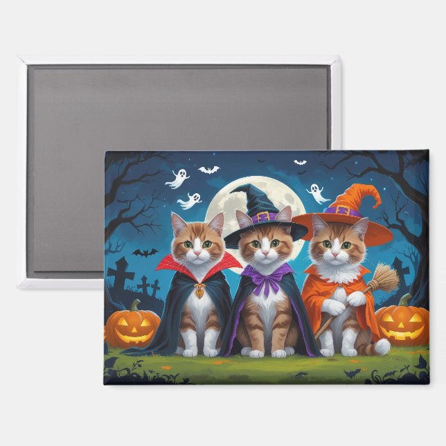 Abyssinian Cats Pumpkin Halloween Funny Magnet (Front/Back)