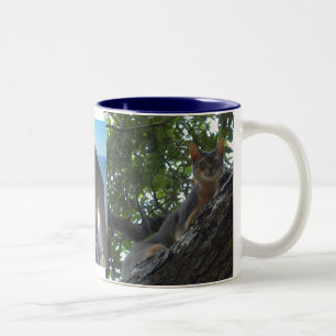 Abyssinian Cats Two-Tone Coffee Mug