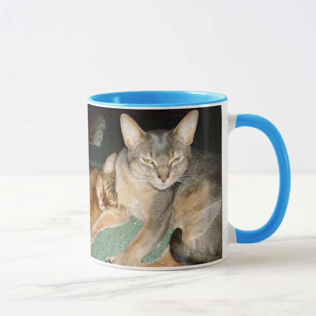 Abyssinian Kitten and Cat Mugs (Right)