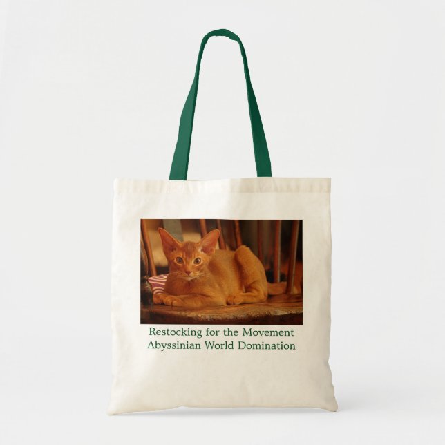 Abyssinian Kitten Tote Bag (Front)