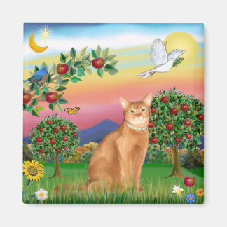 Abyssinian (red 18) - Bright Country Magnet