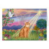 Abyssinian (red 18) - Cloud Angel (Front Horizontal)