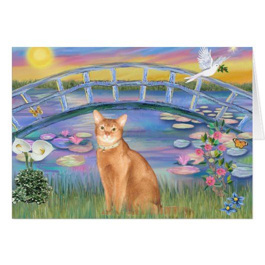 Abyssinian (red 18) - Sunrise Lilies (Front Horizontal)