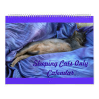 Abyssinian Sleeping Cats Calendar