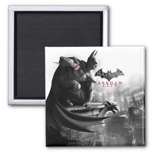 AC Poster _ Batman Gargoyle Ledge Magnet