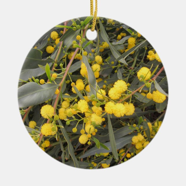 Acacia Ceramic Ornament (Front)