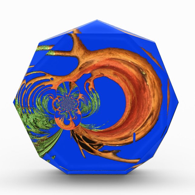 Acacia Circle Art Print Award (Front)