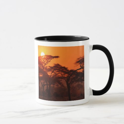 Acacia forest silhouetted at sunset Tarangire Mug